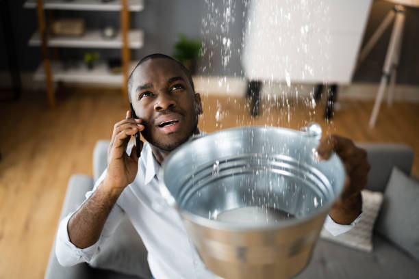 Best Emergency water extraction  in Romeovle, IL
