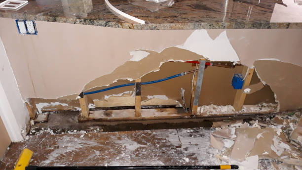 Best Fire Damage Restoration  in Romeovle, IL