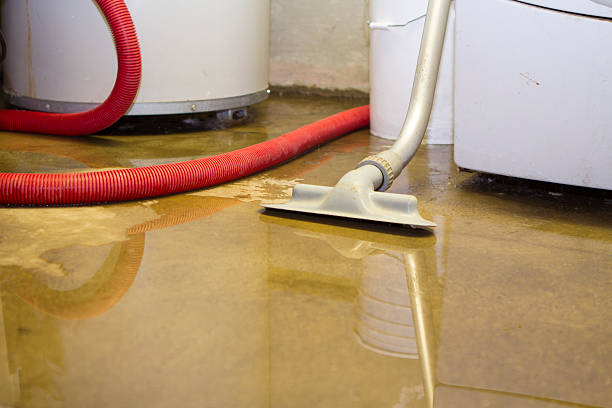 Best Basement water damage restoration  in Romeovle, IL