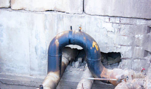Best Local water damage restoration  in Romeovle, IL