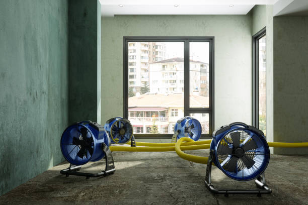 Best 24/7 water damage repair  in Romeovle, IL