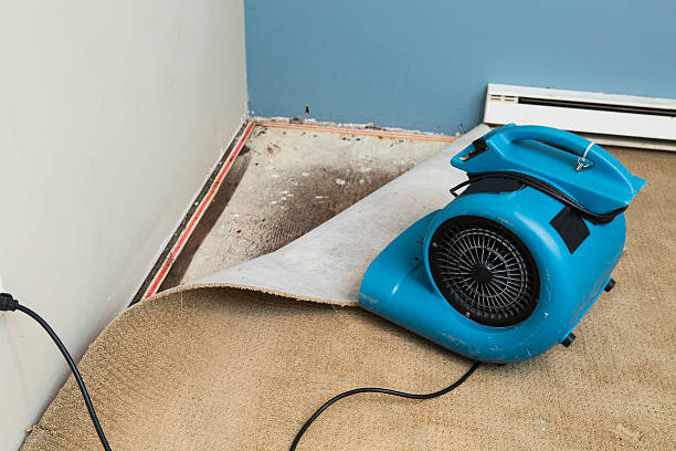 Best Fire Damage Restoration  in Romeovle, IL